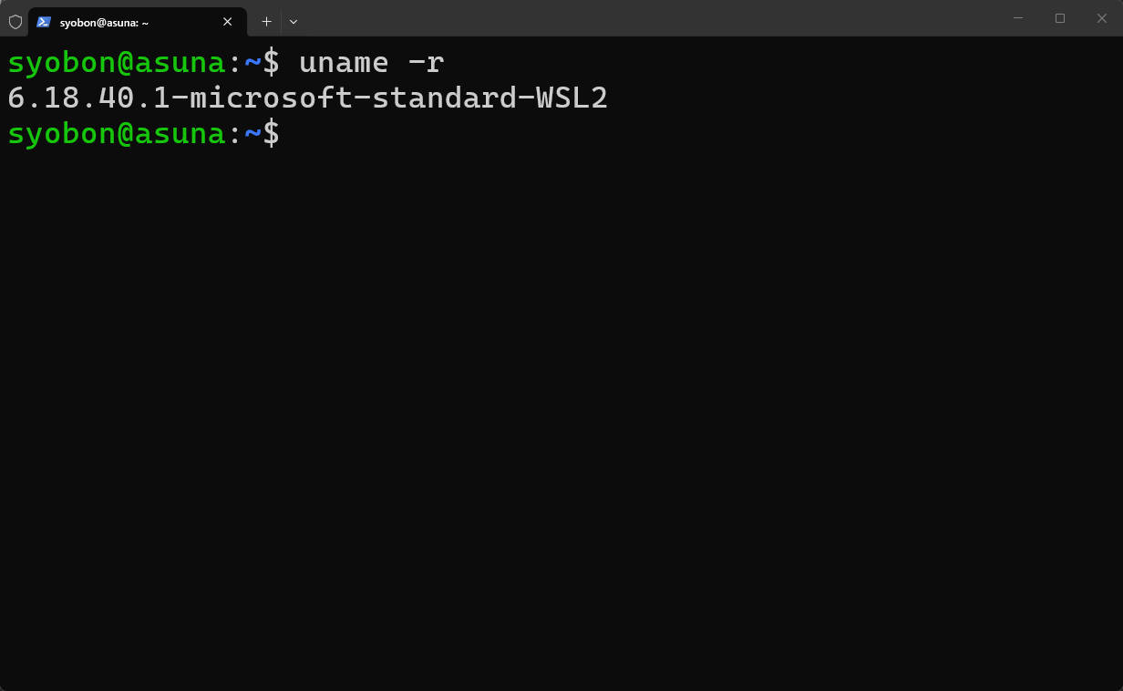 WSL 3.0.1にアップデートしても、カーネル名の末尾にはWSL2の記載があることが分かります。